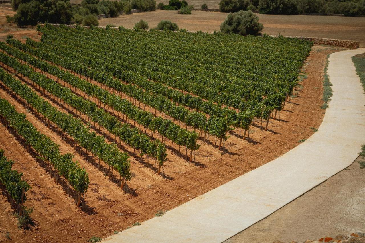 Finca Gomera By Itinerem - Adults Only Llucmajor (Mallorca) Exteriör bild